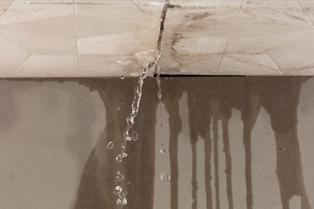 Professional Burst Pipe Cleanup technician working in Mountain City, GA